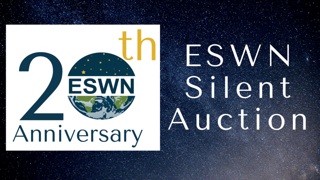 20th anniversary, ESWN silent auction